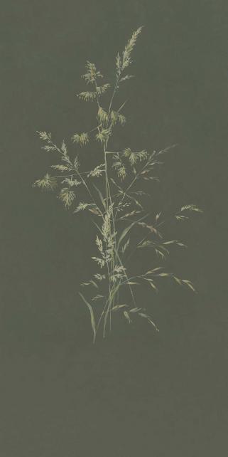 Vliesová obrazová tapeta Tráva, 300905, Aqua Twigs, 140 x 280 cm, Waterfront, Eijffinger rozměry 1,4 x 2,8 m