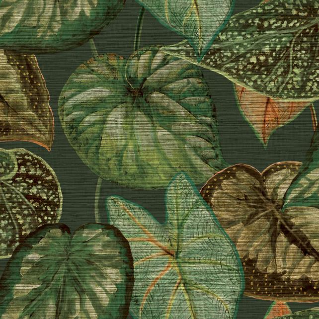Strukturovaná vliesová tapeta, zelené listy, TA25054, Tahiti, Decoprint rozměry 0,53 x 10,05 m