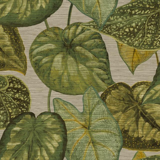 Strukturovaná vliesová tapeta, zelené listy, TA25052, Tahiti, Decoprint rozměry 0,53 x 10,05 m