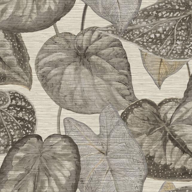 Strukturovaná vliesová tapeta, šedé a hnědé listy, TA25050, Tahiti, Decoprint rozměry 0,53 x 10,05 m