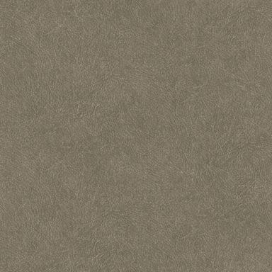 Vliesová tapeta na zeď imitace světle hnědé kůže, TA25024, Tahiti, Decoprint rozměry 0,53 x 10,05 m